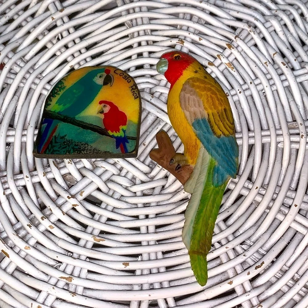 Set of 2 Vintage Parrot Refrigerator Magnets From Costa Rica Handpainted Wood - Picture 2 of 10